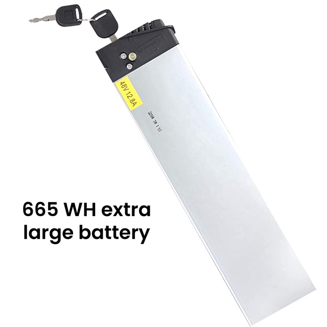 Extra battery